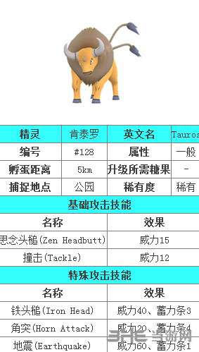 精灵宝可梦GO肯泰罗图鉴图片