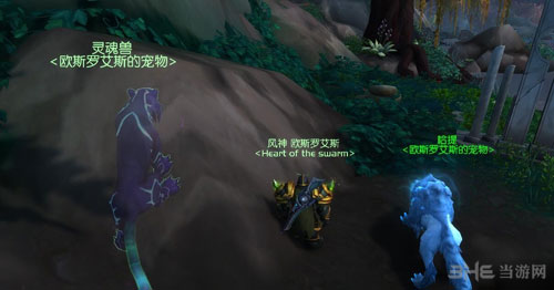 WOW7.0灵魂兽豹子外观图片5