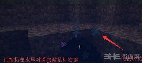 我的世界末影龙蛋孵化截图1
