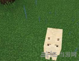 我的世界截图1