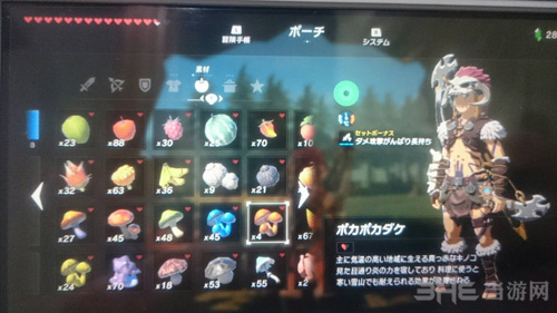 塞尔达传说荒野之息4