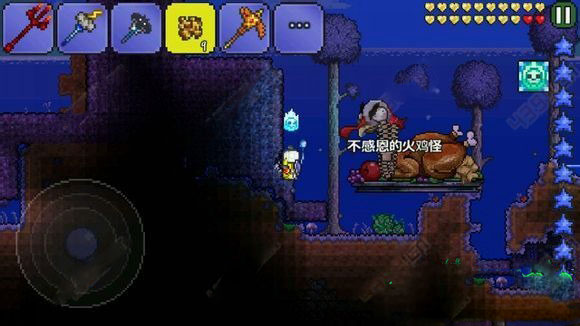 泰拉瑞亚火鸡截图1
