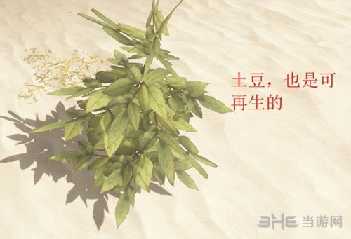 荒野求生截图5