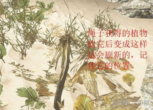 荒野求生截图8