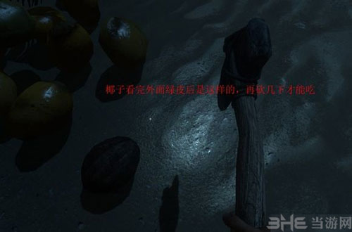 荒野求生截图16