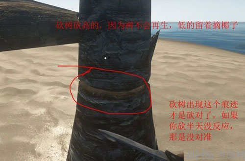 荒野求生截图12