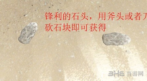 荒野求生截图9