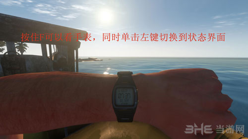 荒野求生截图10