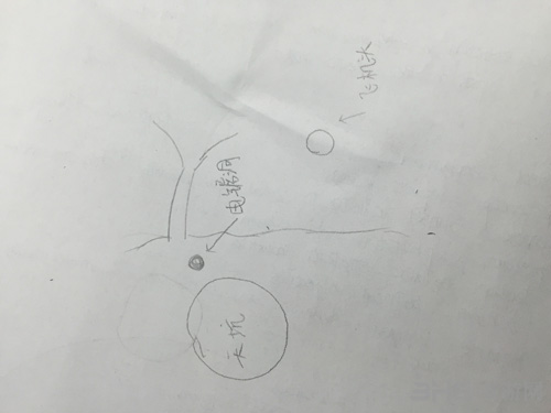 森林截图2