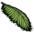 饥荒椰树叶图片1
