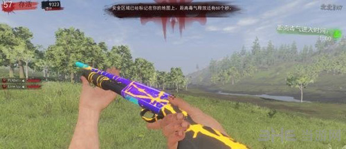 H1Z1游戏图片1