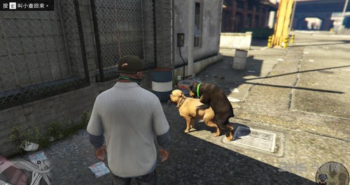 GTA5图片11