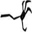 饥荒邪恶生物图片19
