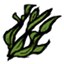 饥荒蔬菜图片5