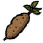 饥荒蔬菜图片1