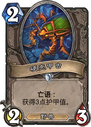 硬壳甲虫