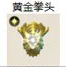 黄金拳头