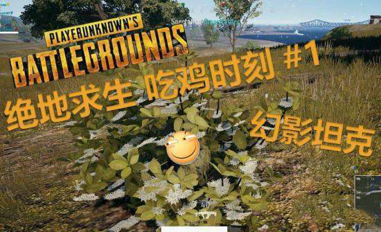 绝地求生截图4