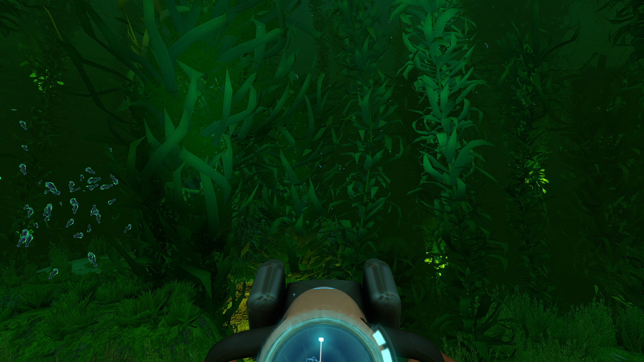 深海迷航海藻森林