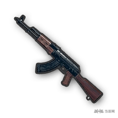 绝地求生步枪图片3