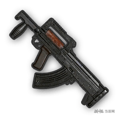 绝地求生步枪图片5