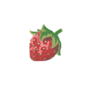 草莓