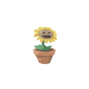 开心小花