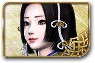 无双大蛇3辉夜姬图鉴