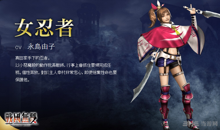 无双大蛇3人物图鉴