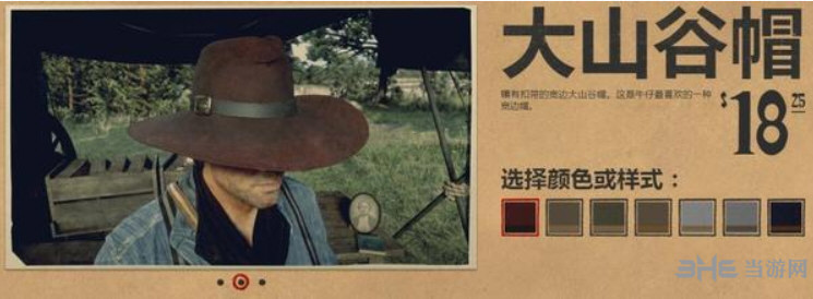荒野大镖客2帽子图片10