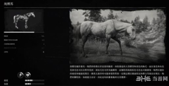 荒野大镖客2纯种马图片
