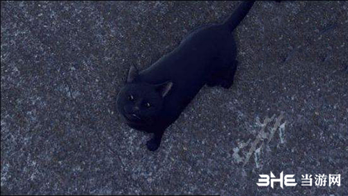 审判之眼死神的遗言野猫截图