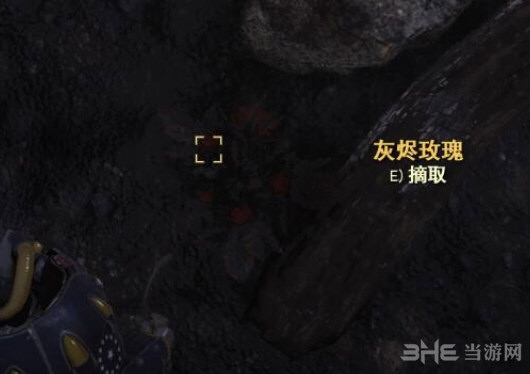 辐射76游戏截图1
