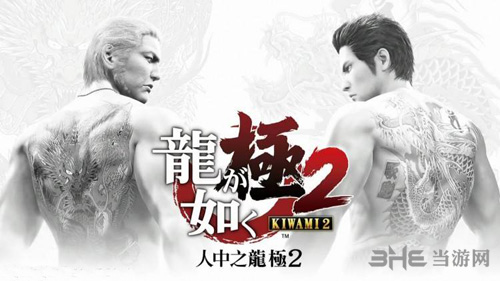 如龙极2封面