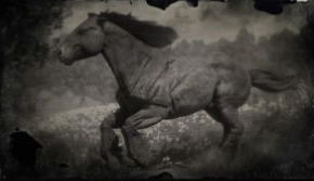 阿尔登马