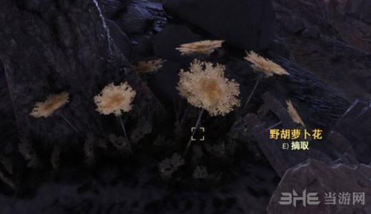 辐射76游戏截图2