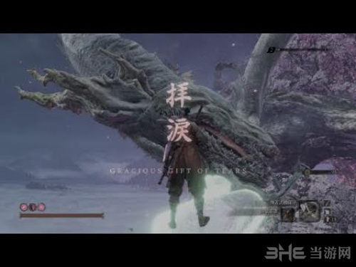 只狼樱龙人物关系分析