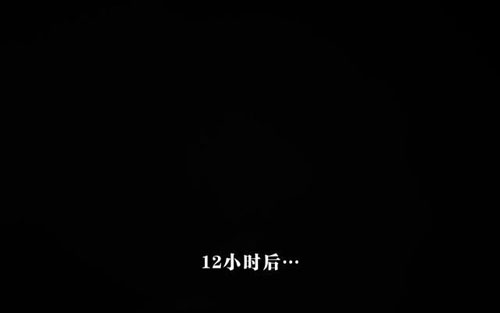 逃生告密者游戏截图16