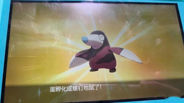宝可梦剑盾游戏图片4