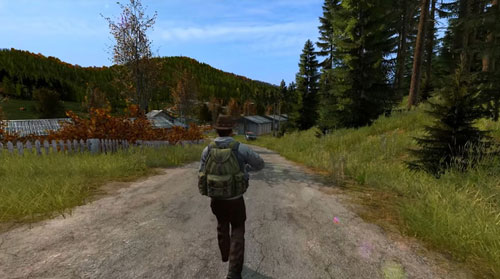 DayZ游戏截图