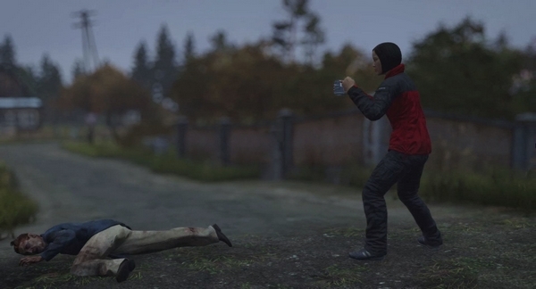 Dayz游戏截图