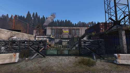 DayZ游戏截图