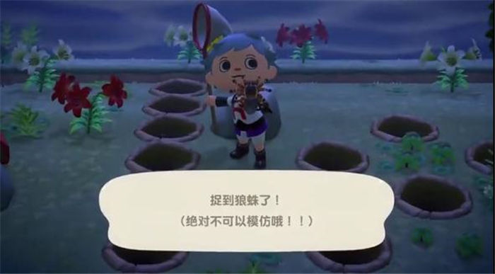 狼蛛抓捕3