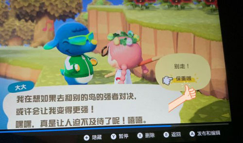集合啦动物森友会游戏截图3