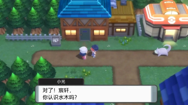 宝可梦晶灿钻石明亮珍珠图片1