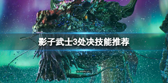 影子武士3处决技能推荐1