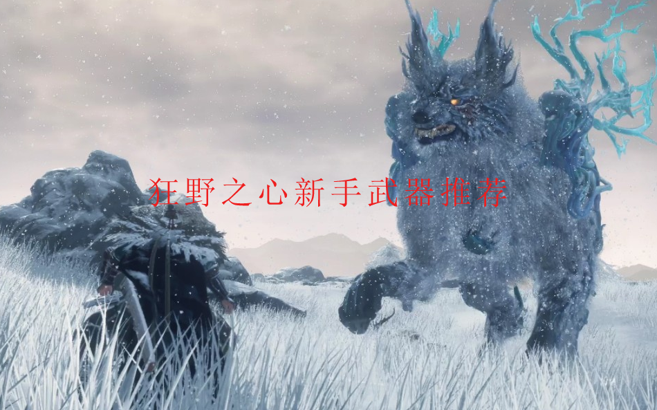 狂野之心海报图