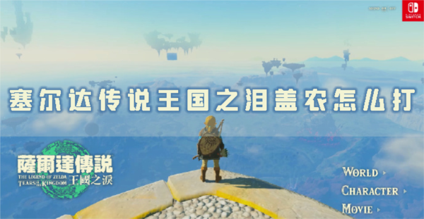 塞尔达传说：王国之泪1