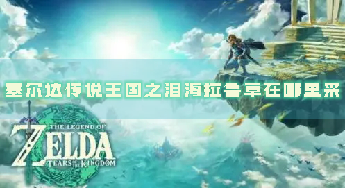塞尔达传说：王国之泪1