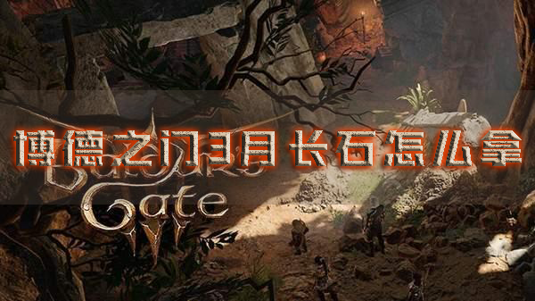 博德之门31